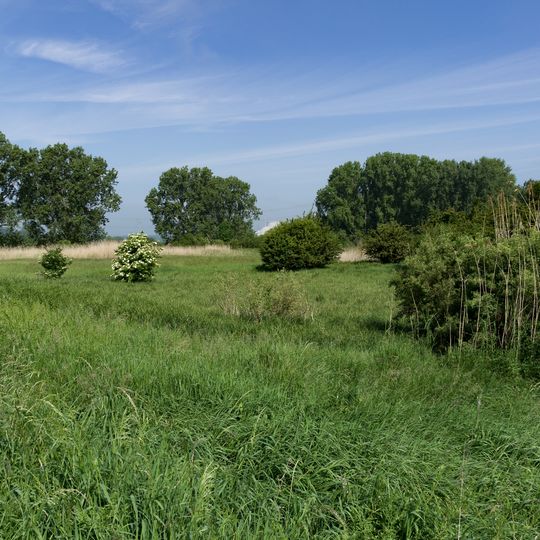 Lochwiesen von Biblis