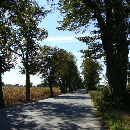 Aleja dojazdowa , XVIII/XIX