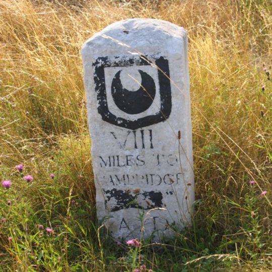 Trinity Hall milestone 8
