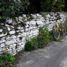 Folwark fence in Myszkowice