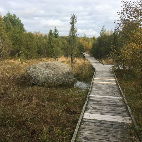 Šauklių riedulynas-kadagynas