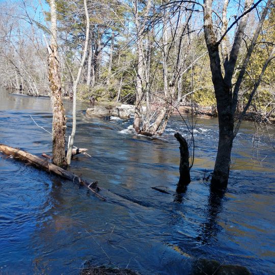 Hirundo Wildlife Refuge