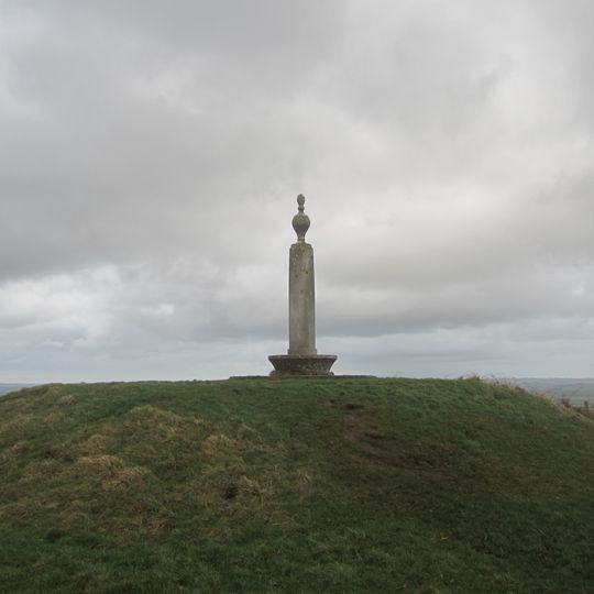 Bowl barrow at Codden Beacon