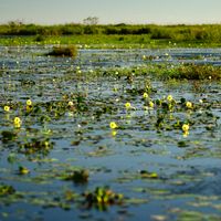 Dipartimento di San Martín
