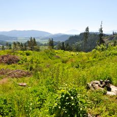 Urgeschichtliche Höhensiedlung Ottilienkogel