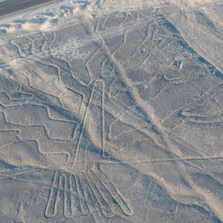 Nazca Tree geoglyph