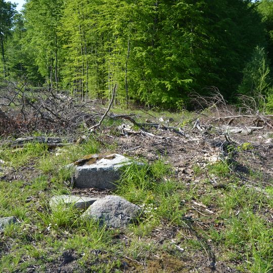 Großsteingrab Dobersdorf 3