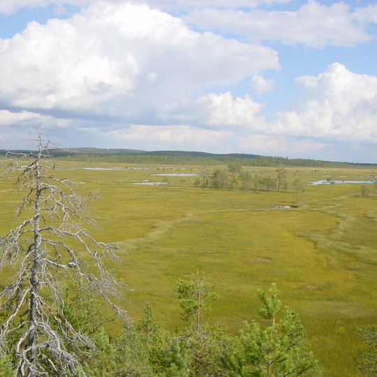 Parco nazionale di Patvinsuo