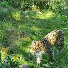 Parc zoologique des Sables d'Olonnes