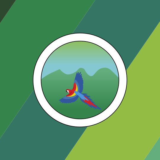 Cantone di Turrubares