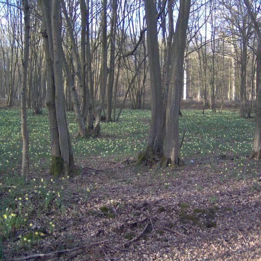 Forest of Sénart