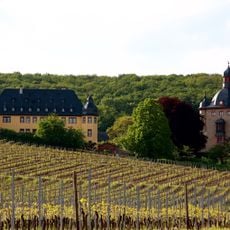 Schloss Vollrads