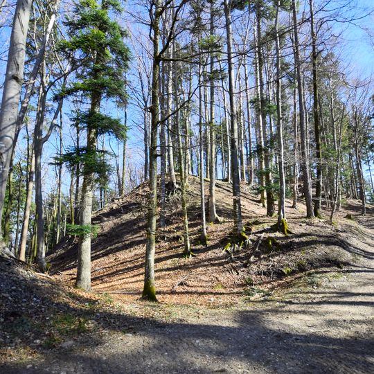 Gündisau / Schlossberg, medieval castle site Wildberg