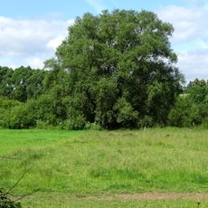 Leineaue unter dem Rammelsberg