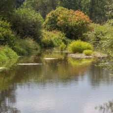 Naab unterhalb Schwarzenfeld und Donau von Poikam bis Regensburg