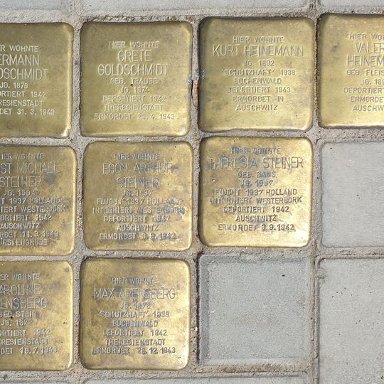 Stolperstein dedicated to Theresia Steiner