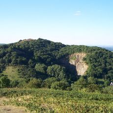 Hollybush Hill