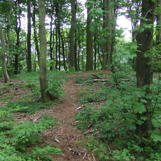 Natura 2000-område nr. 54 Yding Skov og Ejer Skov