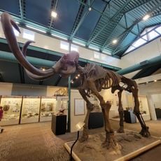 Silver River Museum & Environmental Education Center