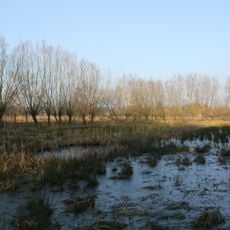 Latemse Meersen