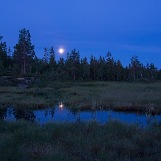 Rundkollen og Sortungsbekken