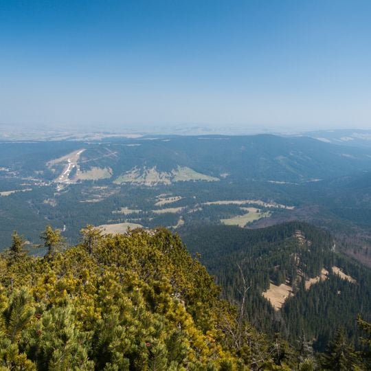 Podtatrzański Trench