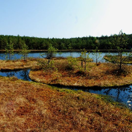 Rezerwat przyrody Jeziorka Kozie