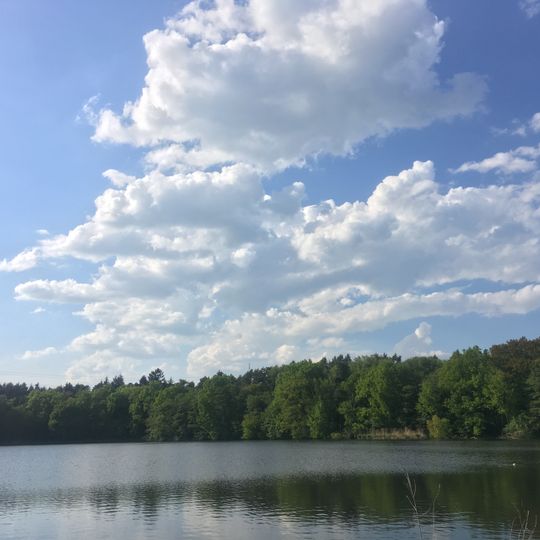 Steinforstgraben mit Kosbacher Weihern und Dauerwaldstreifen östlich des Main-Donau-Kanals
