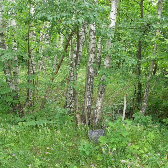 Vėlaičių hillfort