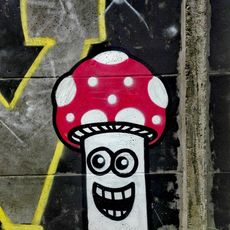 Amanita