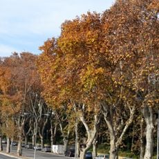 Paseo de los Curas, Málaga