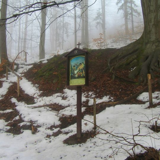 Křížová cesta u Olšan - 9. zastavení