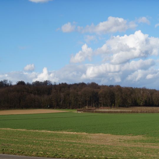 NSG Quarzitkuppe Liedberg