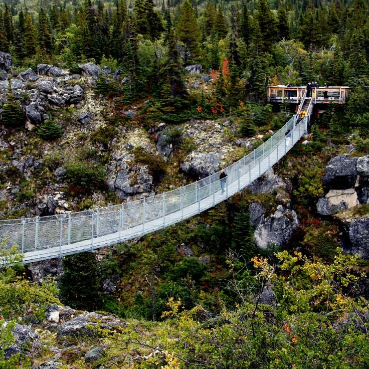 Pont suspendu du Yukon