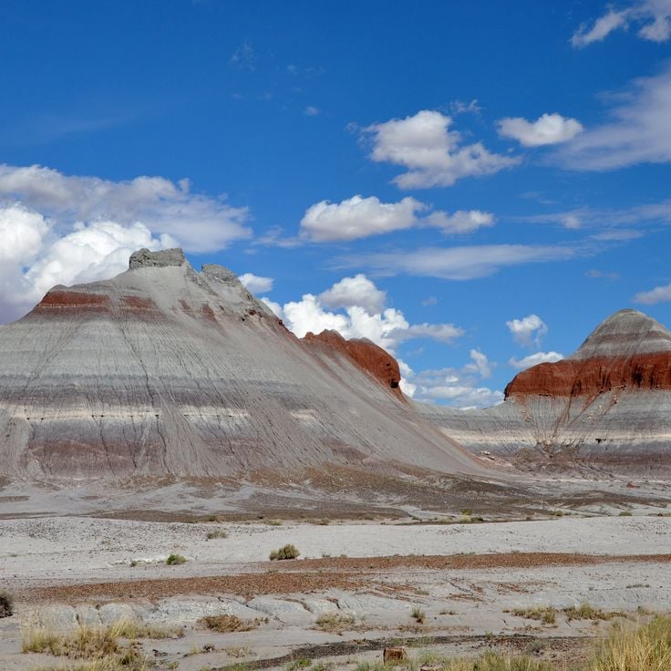 Petrified Forest National Park
