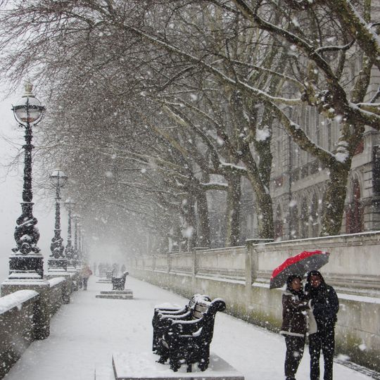 Fifteen Public Benches On Embankment Footpath Between Lambeth Bridge And Westminster Bridge