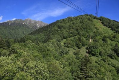 Widok 0