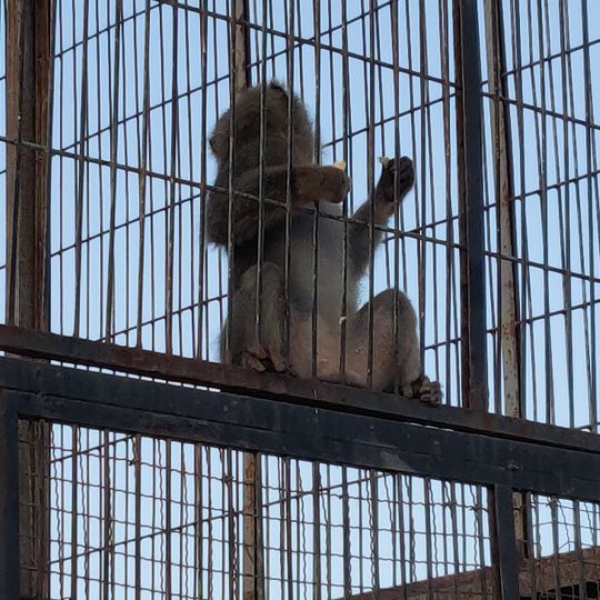 Parc zoologique de Robbah