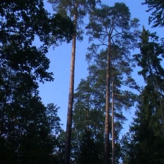 Nature reserve Sosny Taborskie