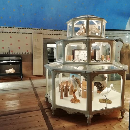 Museo regionale di scienze naturali Efisio Noussan