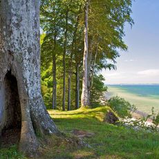 Schleswig-Holsteinische Landesforsten