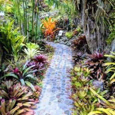 Saint George Village Botanical Gardens