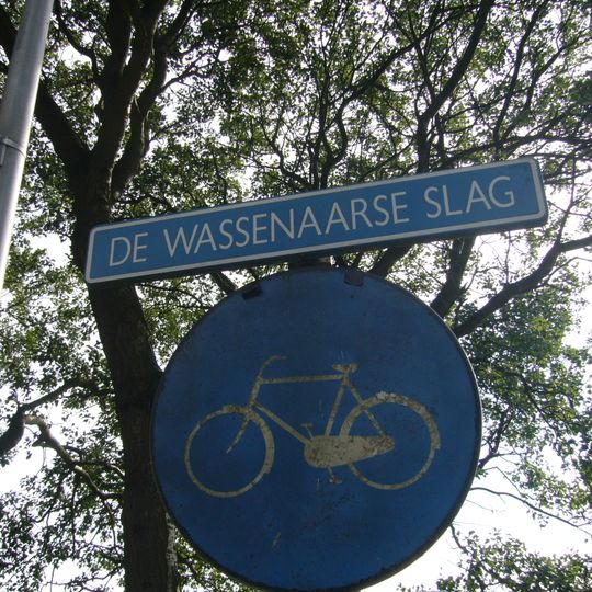 Wassenaarse Slag
