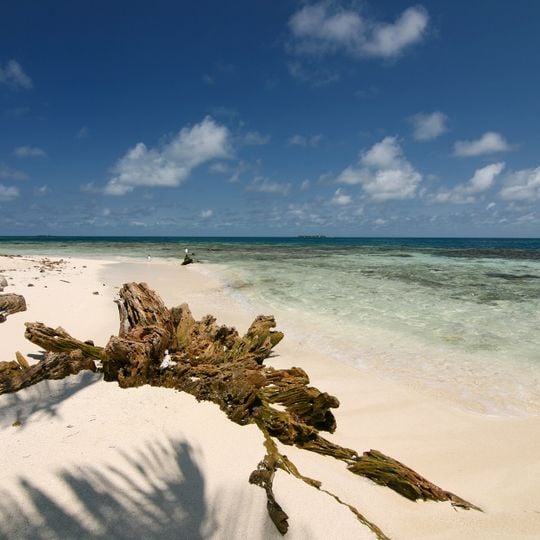 Gladden Spit and Silk Cayes Marine Reserve
