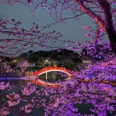 Habu Park