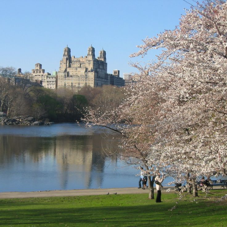 The Lake