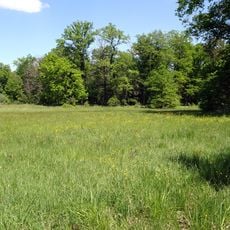 Im Mörsbacher Grund von Darmstadt-Arheilgen