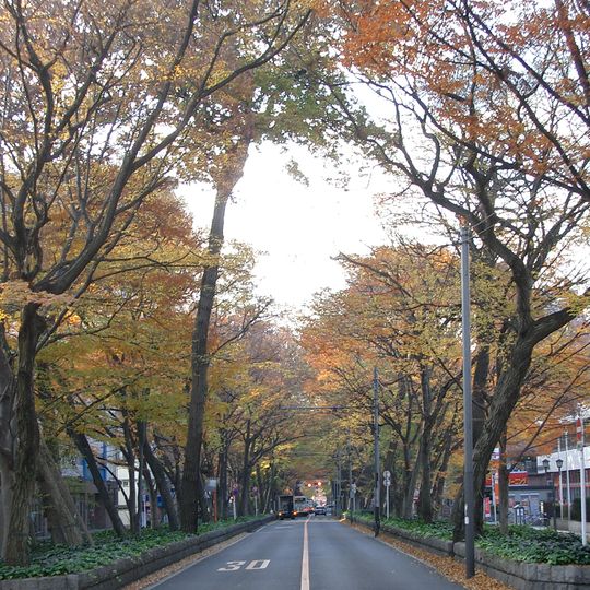 Baba-Daimon no Keyaki-Namiki