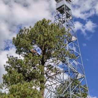 Jacob Lake Lookout Tower