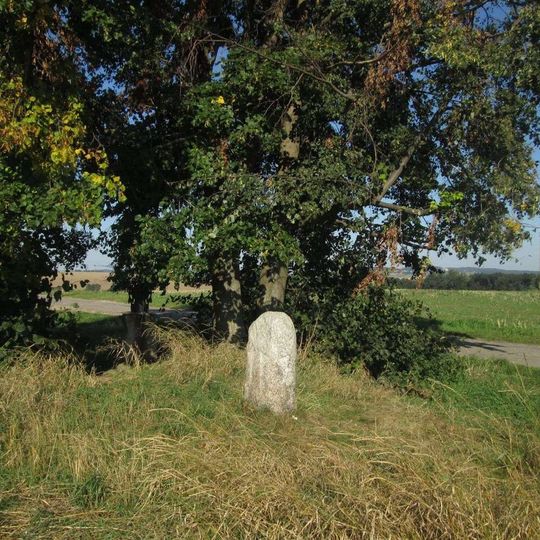 Křížový kámen mezi Znosimí a Domašínem